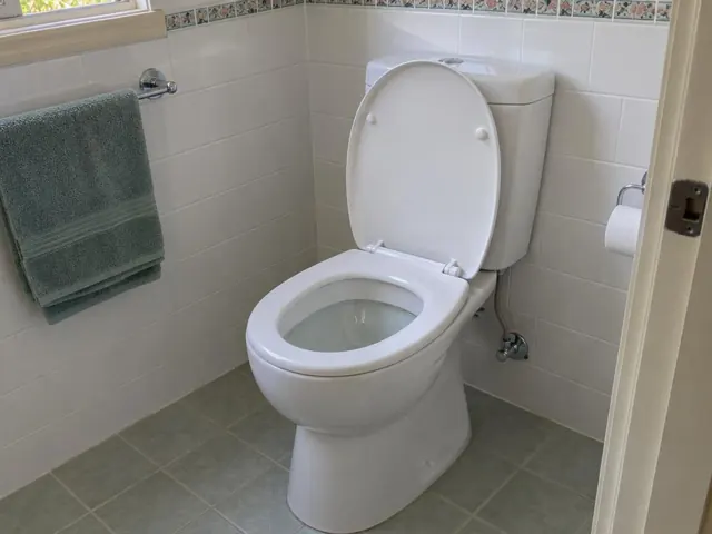 Clean white toilet in a tiled bathroom with towel rail and tiled walls in Turramurra